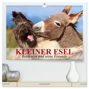 Kleiner Esel. Boldewyn und seine Freunde (hochwertiger Premium Wandkalender 2024 DIN A2 quer), Kunstdruck in Hochglanz von Stanzer,  Elisabeth