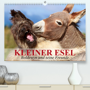 Kleiner Esel. Boldewyn und seine Freunde (Premium, hochwertiger DIN A2 Wandkalender 2023, Kunstdruck in Hochglanz) von Stanzer,  Elisabeth