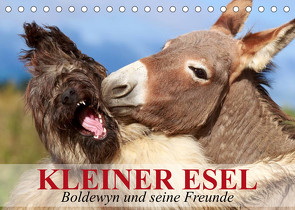 Kleiner Esel. Boldewyn und seine Freunde (Tischkalender 2023 DIN A5 quer) von Stanzer,  Elisabeth