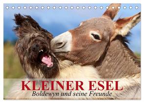 Kleiner Esel. Boldewyn und seine Freunde (Tischkalender 2024 DIN A5 quer), CALVENDO Monatskalender von Stanzer,  Elisabeth