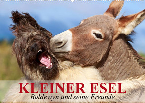 Kleiner Esel. Boldewyn und seine Freunde (Wandkalender 2023 DIN A2 quer) von Stanzer,  Elisabeth