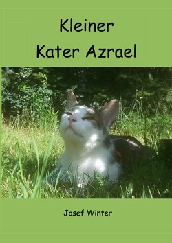 Kleiner Kater Azrael von Winter,  Josef