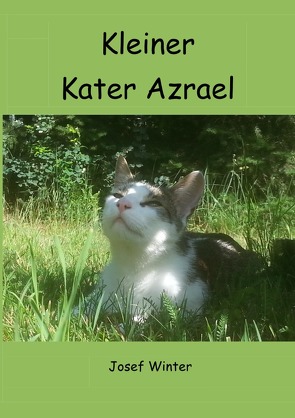 Kleiner Kater Azrael von Winter,  Josef