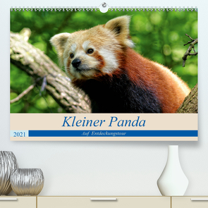 Kleiner Panda auf Entdeckungstour (Premium, hochwertiger DIN A2 Wandkalender 2021, Kunstdruck in Hochglanz) von Hebgen,  Peter