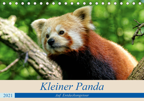 Kleiner Panda auf Entdeckungstour (Tischkalender 2021 DIN A5 quer) von Hebgen,  Peter