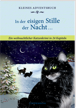 Kleines Adventsbuch – In der eisigen Stille der Nacht … von Behr,  Barbara, Edelmann,  Gitta