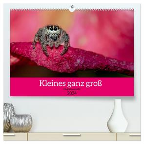 Kleines ganz groß – Makrofotografie (hochwertiger Premium Wandkalender 2024 DIN A2 quer), Kunstdruck in Hochglanz von Lichtenheldt,  Ellen