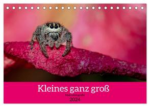 Kleines ganz groß – Makrofotografie (Tischkalender 2024 DIN A5 quer), CALVENDO Monatskalender von Lichtenheldt,  Ellen