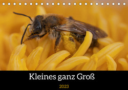 Kleines ganz Groß (Tischkalender 2023 DIN A5 quer) von Röttger,  Nikolai