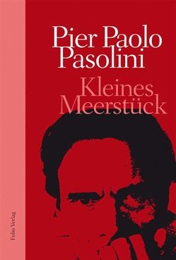 Kleines Meerstück von Albath,  Maike, Fehringer,  Maria, Naldini,  Nico, Pasolini,  Pier Paolo