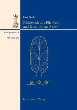 Kleinfunde aus Elfenbein und Knochen aus Assur von Wicke,  Dirk