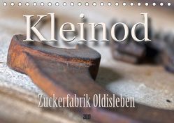 Kleinod – Zuckerfabrik Oldisleben (Tischkalender 2019 DIN A5 quer) von Flori0