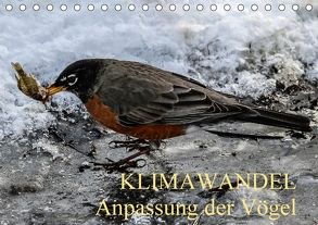 KLIMAWANDEL Anpassung der Vögel (Tischkalender 2018 DIN A5 quer) von Hoville,  Wido