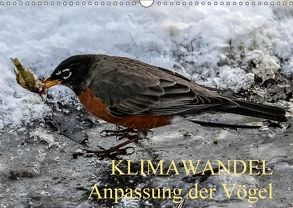 KLIMAWANDEL Anpassung der Vögel (Wandkalender 2018 DIN A3 quer) von Hoville,  Wido