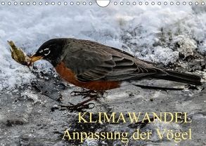 KLIMAWANDEL Anpassung der Vögel (Wandkalender 2018 DIN A4 quer) von Hoville,  Wido