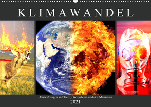 Klimawandel. Auswirkungen auf Tiere, Ökosysteme und den Menschen (Wandkalender 2021 DIN A2 quer) von Hurley,  Rose