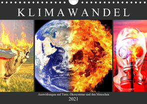 Klimawandel. Auswirkungen auf Tiere, Ökosysteme und den Menschen (Wandkalender 2021 DIN A4 quer) von Hurley,  Rose