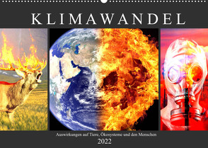 Klimawandel. Auswirkungen auf Tiere, Ökosysteme und den Menschen (Wandkalender 2022 DIN A2 quer) von Hurley,  Rose