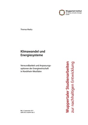 Klimawandel und Energiesysteme von Madry,  Thomas