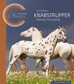 Knabstrupper von Branderup,  Bent