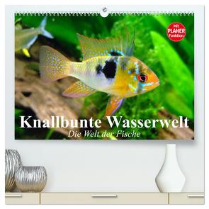 Knallbunte Wasserwelt. Die Welt der Fische (hochwertiger Premium Wandkalender 2024 DIN A2 quer), Kunstdruck in Hochglanz von Stanzer,  Elisabeth