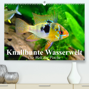 Knallbunte Wasserwelt. Die Welt der Fische (Premium, hochwertiger DIN A2 Wandkalender 2023, Kunstdruck in Hochglanz) von Stanzer,  Elisabeth