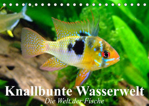 Knallbunte Wasserwelt. Die Welt der Fische (Tischkalender 2023 DIN A5 quer) von Stanzer,  Elisabeth