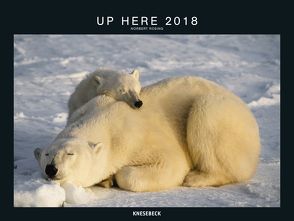 Knesebeck Up Here 2018 von Rosing,  Norbert