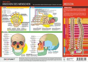 Knochen des Menschen von Schulze,  Michael