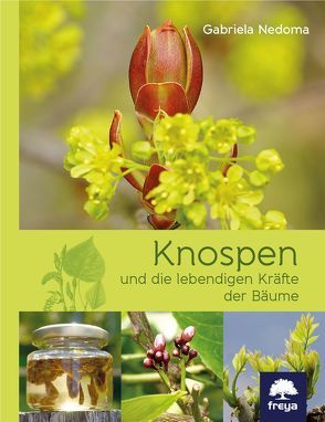 Knospen von Nedoma,  Gabriela