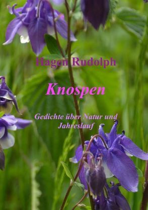 Knospen von Rudolph,  Hagen