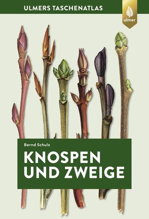 Knospen und Zweige von Schulz,  Bernd