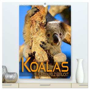 Koalas auf den Pelz gerückt (hochwertiger Premium Wandkalender 2024 DIN A2 hoch), Kunstdruck in Hochglanz von Utz,  Renate