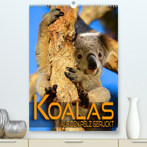 Koalas auf den Pelz gerückt (Premium, hochwertiger DIN A2 Wandkalender 2023, Kunstdruck in Hochglanz) von Utz,  Renate