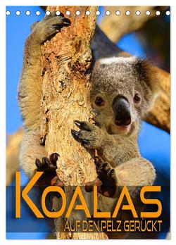 Koalas auf den Pelz gerückt (Tischkalender 2024 DIN A5 hoch), CALVENDO Monatskalender von Utz,  Renate