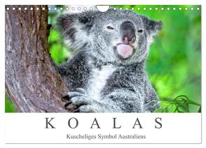 Koalas – Kuscheliges Symbol Australiens (Wandkalender 2024 DIN A4 quer), CALVENDO Monatskalender von Meyer,  Dieter