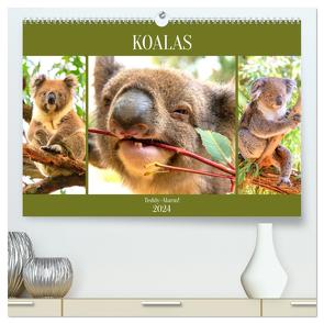 Koalas. Teddy-Alarm! (hochwertiger Premium Wandkalender 2024 DIN A2 quer), Kunstdruck in Hochglanz von Hurley,  Rose