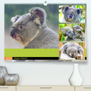 Koalas. Teddy-Alarm! (Premium, hochwertiger DIN A2 Wandkalender 2023, Kunstdruck in Hochglanz) von Hurley,  Rose