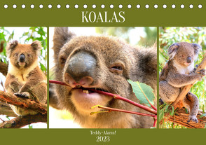 Koalas. Teddy-Alarm! (Tischkalender 2023 DIN A5 quer) von Hurley,  Rose