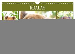 Koalas. Teddy-Alarm! (Wandkalender 2024 DIN A4 quer), CALVENDO Monatskalender von Hurley,  Rose