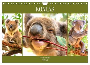 Koalas. Teddy-Alarm! (Wandkalender 2024 DIN A4 quer), CALVENDO Monatskalender von Hurley,  Rose