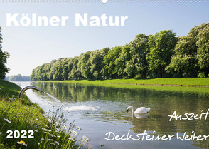 Kölner Natur. Auszeit Decksteiner Weiher (Wandkalender 2022 DIN A2 quer) von Wojciech,  Gaby