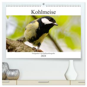 Kohlmeise – Fotografiert von Ostfriesenfotografie (hochwertiger Premium Wandkalender 2024 DIN A2 quer), Kunstdruck in Hochglanz von Betten - Ostfriesenfotografie,  Christina