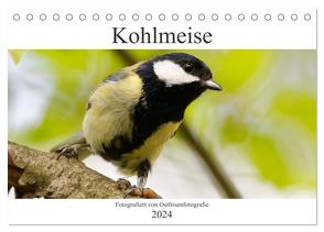 Kohlmeise – Fotografiert von Ostfriesenfotografie (Tischkalender 2024 DIN A5 quer), CALVENDO Monatskalender von Betten - Ostfriesenfotografie,  Christina