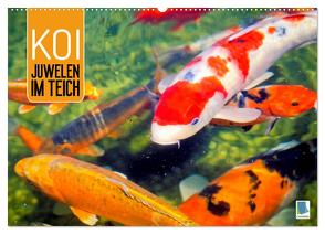 Koi: Juwelen im Teich (Wandkalender 2024 DIN A2 quer), CALVENDO Monatskalender von CALVENDO,  CALVENDO