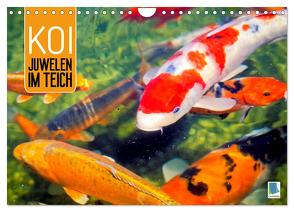 Koi: Juwelen im Teich (Wandkalender 2024 DIN A4 quer), CALVENDO Monatskalender von CALVENDO,  CALVENDO