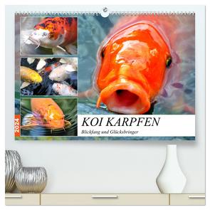 Koi Karpfen. Blickfang und Glücksbringer (hochwertiger Premium Wandkalender 2024 DIN A2 quer), Kunstdruck in Hochglanz von Hurley,  Rose