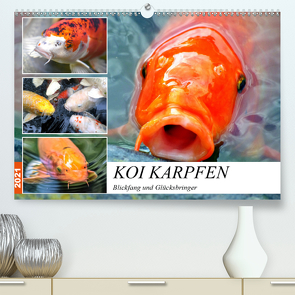 Koi Karpfen. Blickfang und Glücksbringer (Premium, hochwertiger DIN A2 Wandkalender 2021, Kunstdruck in Hochglanz) von Hurley,  Rose