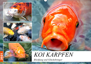 Koi Karpfen. Blickfang und Glücksbringer (Wandkalender 2021 DIN A2 quer) von Hurley,  Rose