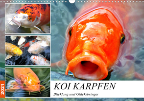 Koi Karpfen. Blickfang und Glücksbringer (Wandkalender 2021 DIN A3 quer) von Hurley,  Rose